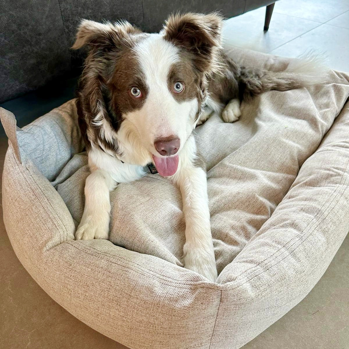 HEMMA Deep Sleep Pet Bed