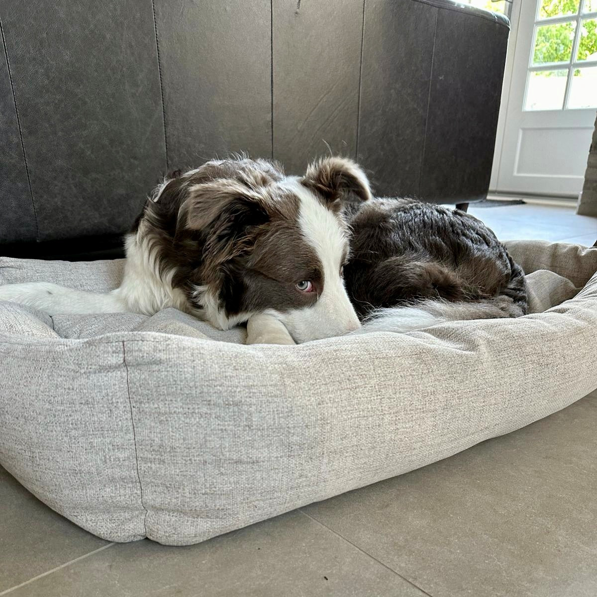 HEMMA Deep Sleep Pet Bed