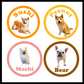 Personalised Pet Stickers