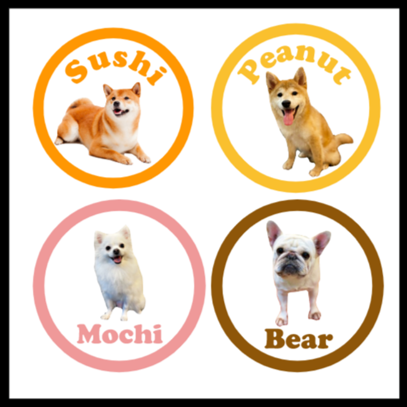 Personalised Pet Stickers