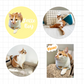 Personalised Pet Stickers